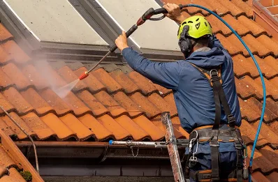 Démoussage et hydrofuge de toiture à Faye-la-Vineuse